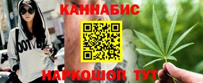 индика Можга
