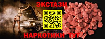 индика Можга