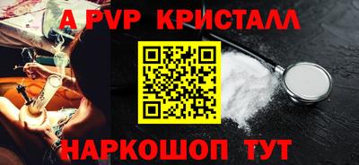 индика Можга
